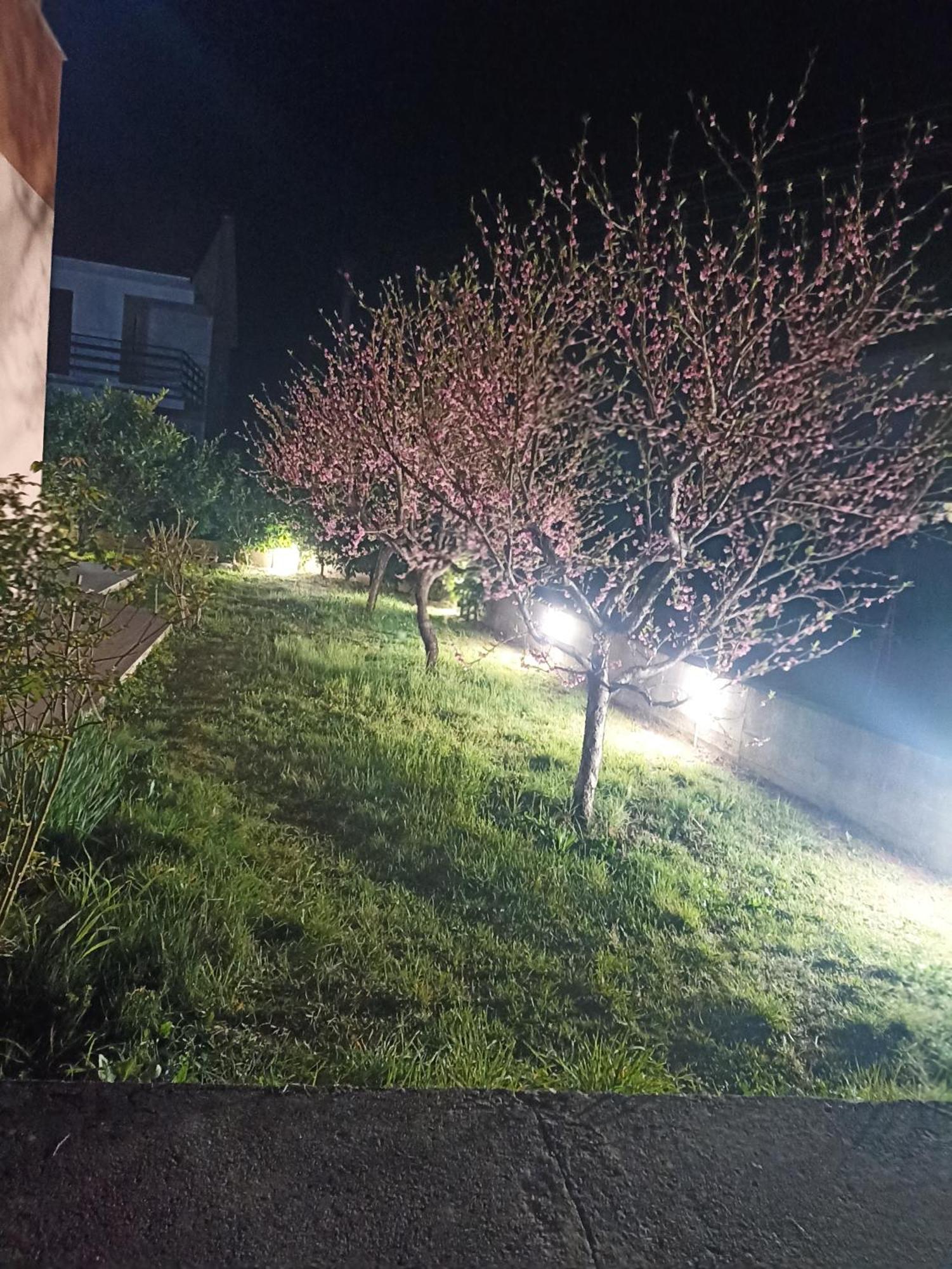 Apartmani Slado Trebinje Exteriér fotografie