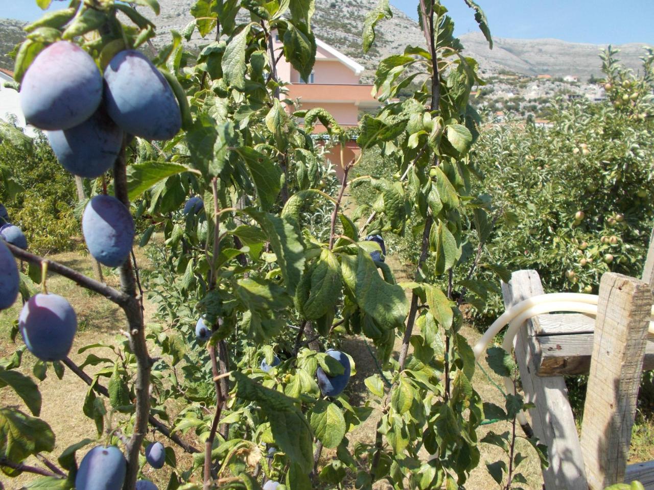 Apartmani Slado Trebinje Exteriér fotografie